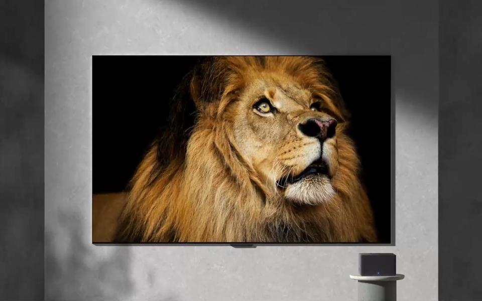 LG OLED wireless TV displaying lifelike lion image with stunning 4K clarity