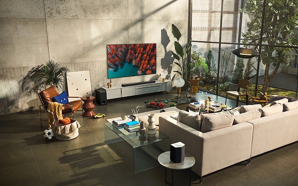 LG OLED TV Slim and Stylishly Designed
                                