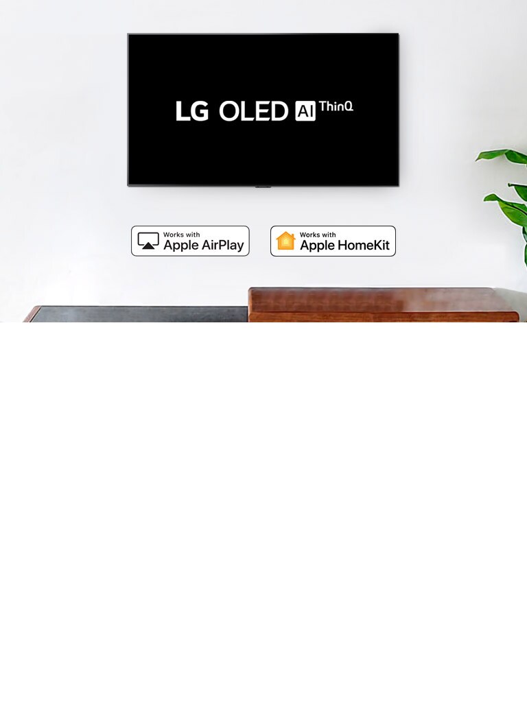 ??????? ???? ??? ?????? ???? ???? LG OLED ?????? AI ThinQ ??? ????? ?????