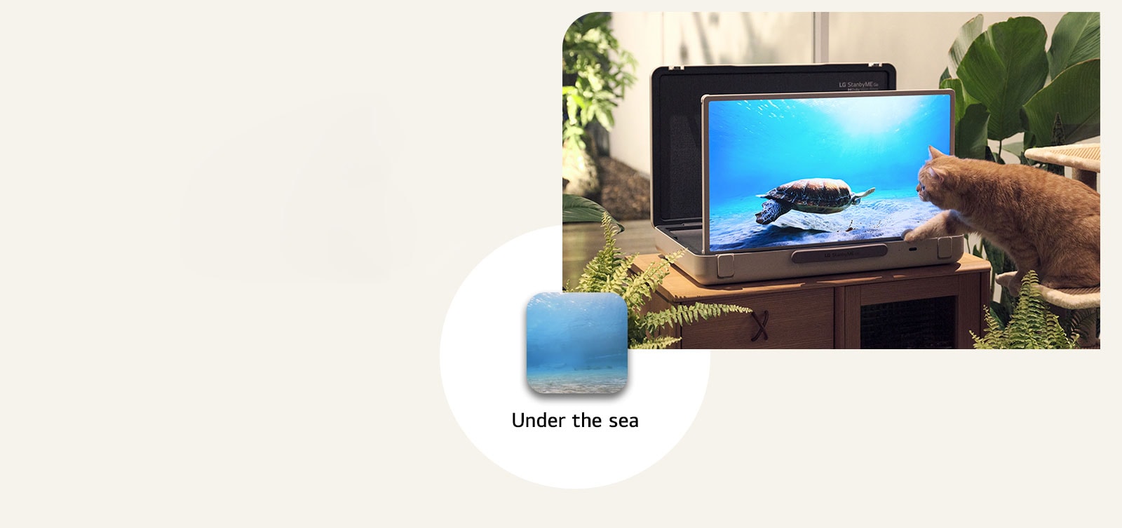 ???? The LG StanbyME Go ?????? ?? ??????? ????? ?????? ???? under the sea. ???? ??????? ???? ??? ??? ????? ?????? ??????? ??????? ??? ??????.