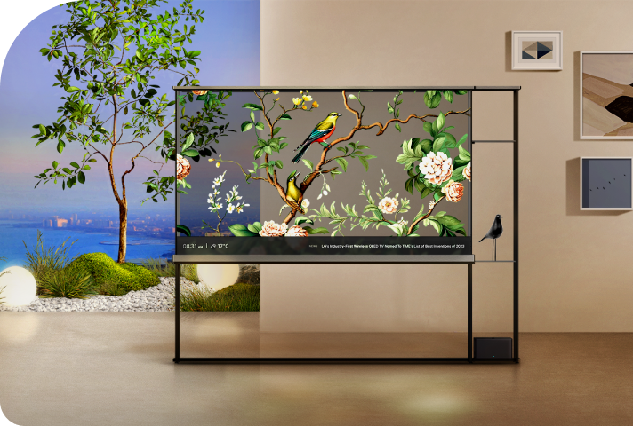 ???? ??? ?????? ??????? ???????? ??? ???? ???? LG OLED T ???????? ????? ?????? ?? ??????? ?? ??????.