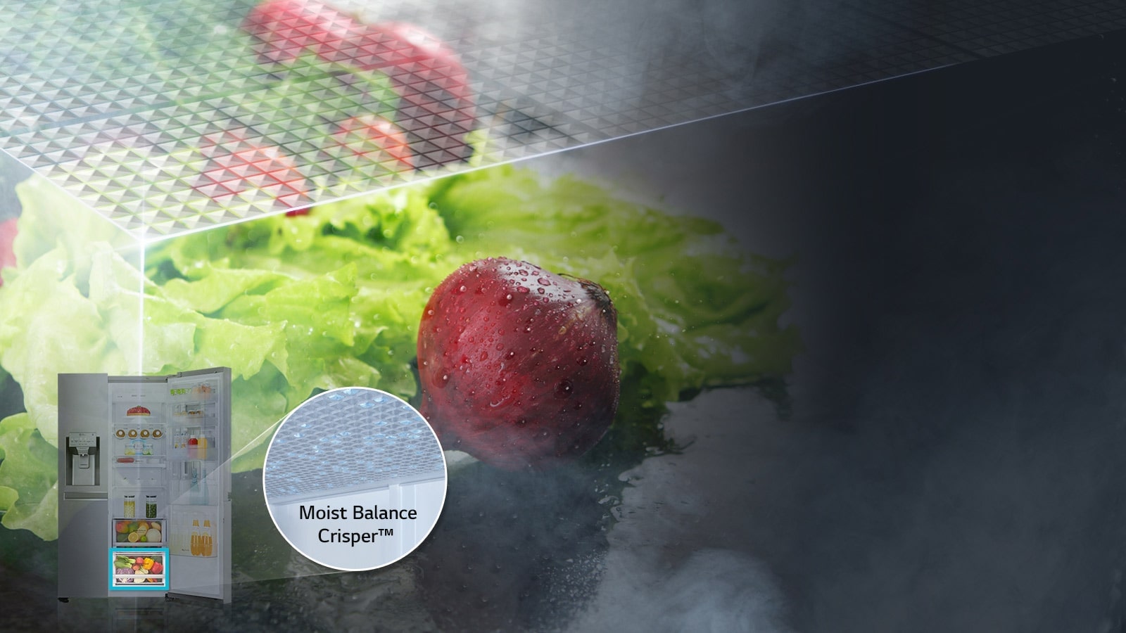 Moist Balance Crisper?1