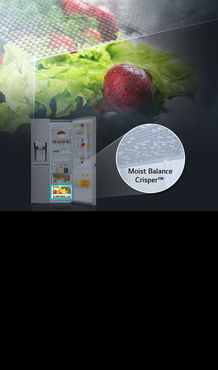Moist Balance Crisper?2