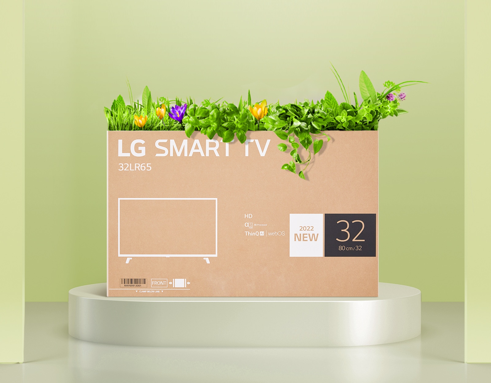 A flower box upcycled using an LG HD monitor box packaging.