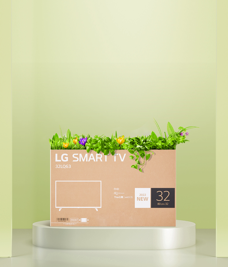 Une bo?te à fleurs recyclée à l’aide d’un emballage de bo?te de moniteur LG FHD.