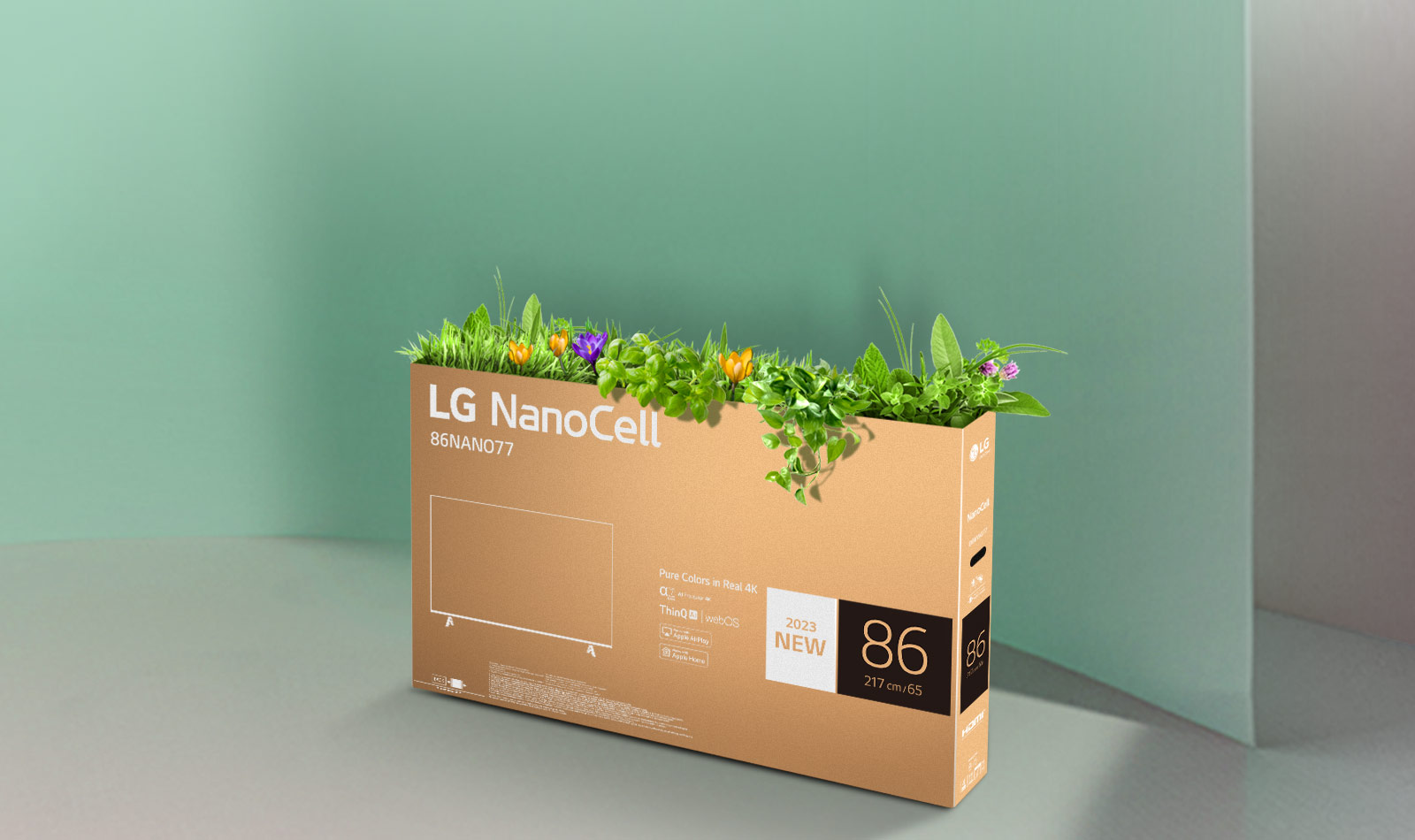 Bo?te recyclable du téléviseur NanoCell de LG avec des fleurs et des plantes qui poussent du haut de la bo?te.