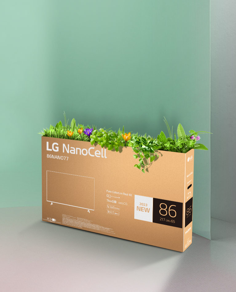 Bo?te recyclable du téléviseur NanoCell de LG avec des fleurs et des plantes qui poussent du haut de la bo?te.