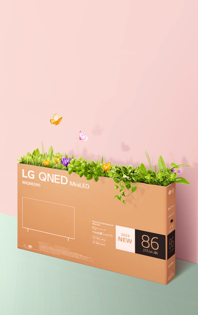 Une bo?te d’emballage QNED est placée sur un fond rose et vert, avec de l’herbe qui pousse et des papillons qui sortent de la bo?te. 