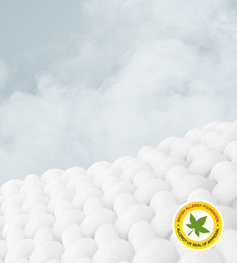 élimination à la vapeur des allergènes et des bactéries