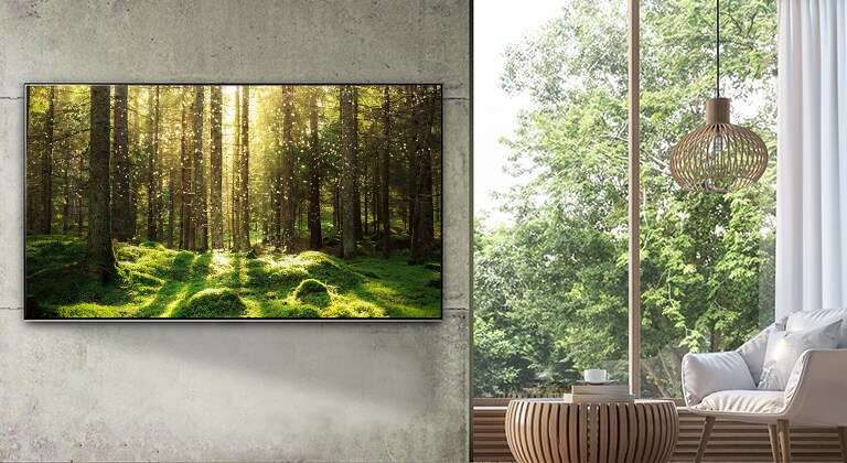 Un televisor grande de pantalla plana montado en una pared gris junto a una ventana que va del suelo al techo y con un mobiliario de madera natural. La pantalla muestra la escena de un bosque con una luz que brilla entre los árboles.