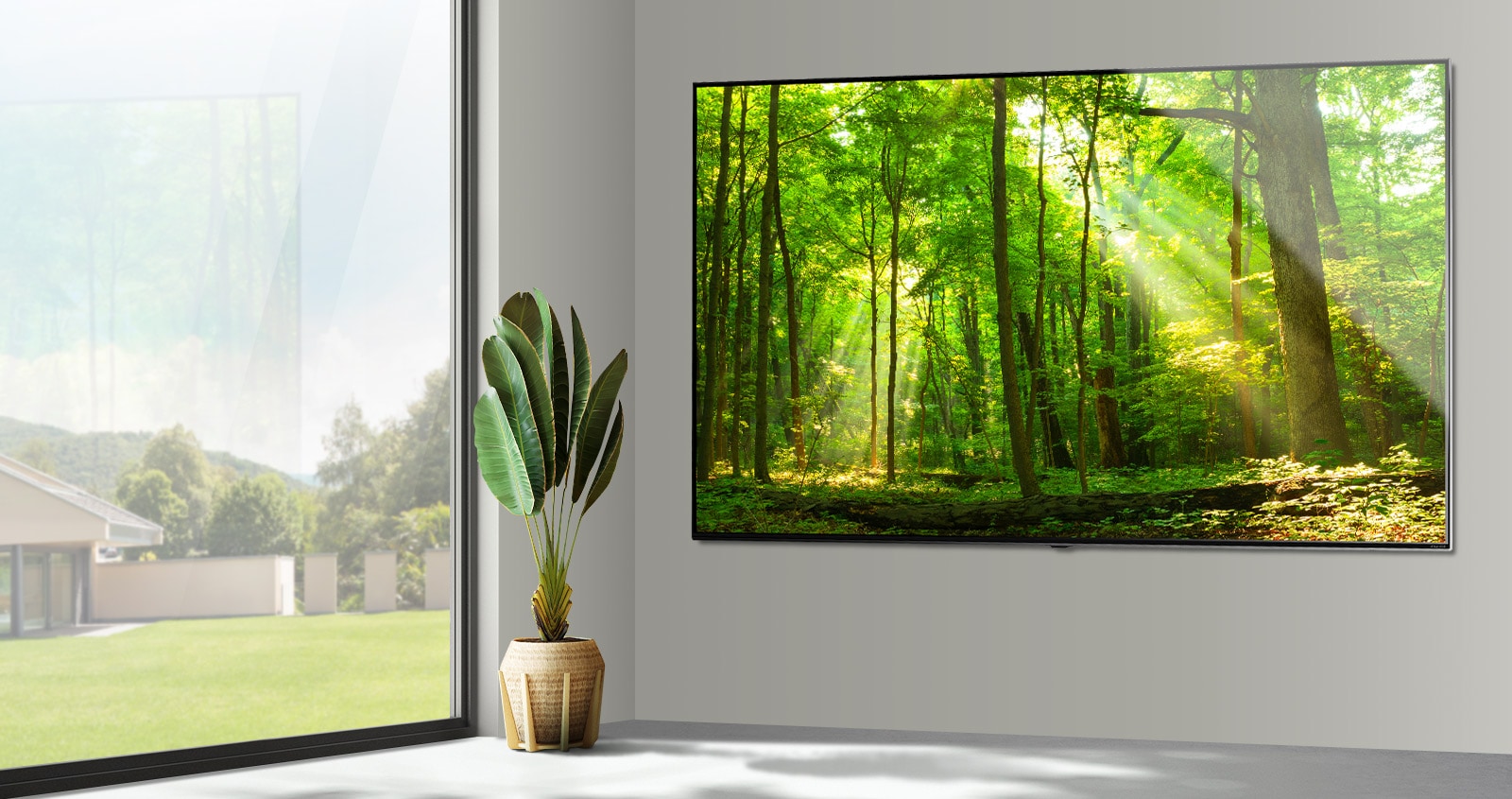Un televisor grande de pantalla plana montado en una pared gris junto a una ventana que va del suelo al techo. La pantalla muestra la escena de un bosque con una luz que brilla entre los árboles.