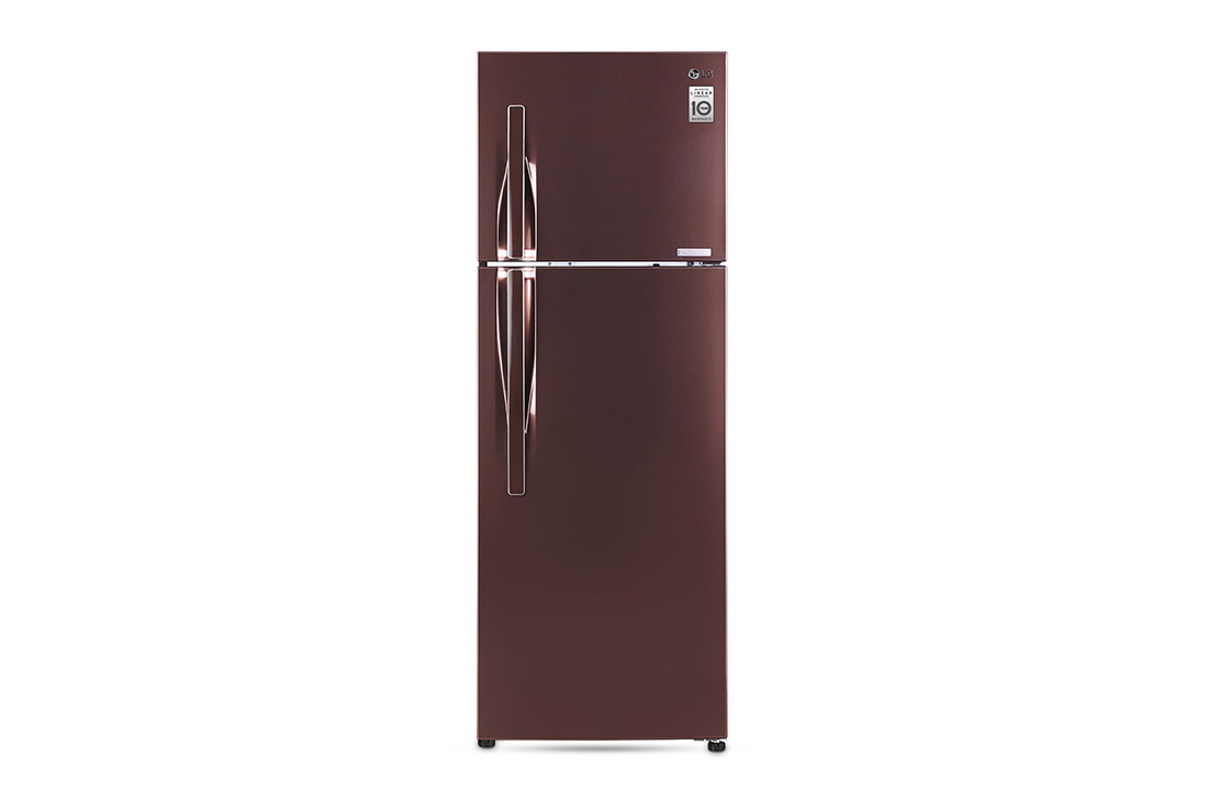 LG 308 Litres Fridge with Smart Inverter Compressor, Door Cooling+?, GL-G322RVBB