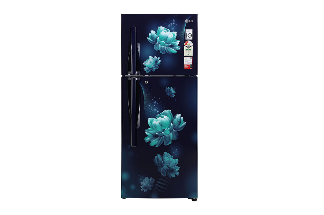 LG 240 Ltr, 2 Star, Smart Inverter Compressor, Convertible, Smart Diagnosis?, Blue Charm Finish, Frost-Free Double Door Refrigerator, LG GL-G302RPBB Front View, GL-G302RPBB