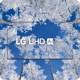 Le logo TV et LG UHD est placé au milieu - des arbres d’hiver glacés sont partout sur l’écran du téléviseur et en arrière-plan.