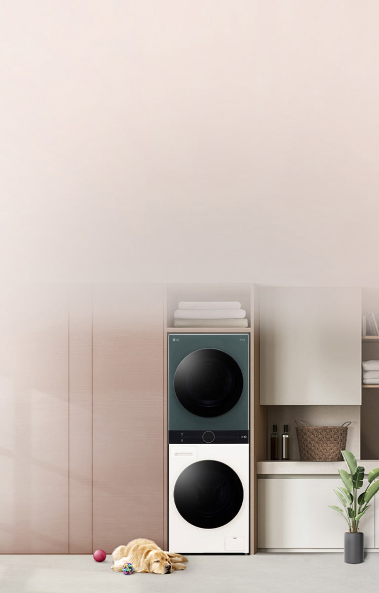 LG WashTower?<br>洗 | 干一體機2