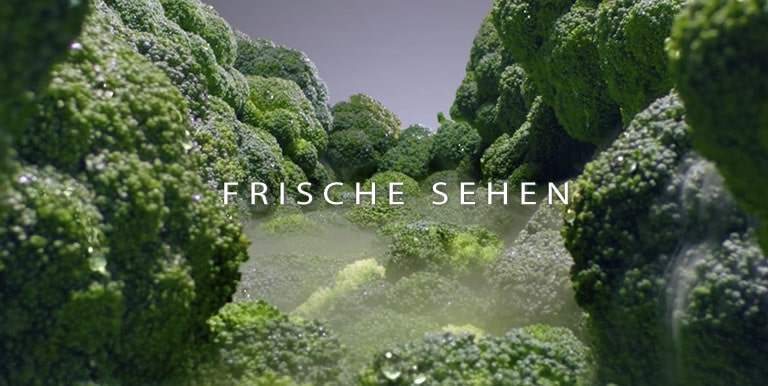 Halten Sie Ihre Nahrungsmittel l?nger frisch