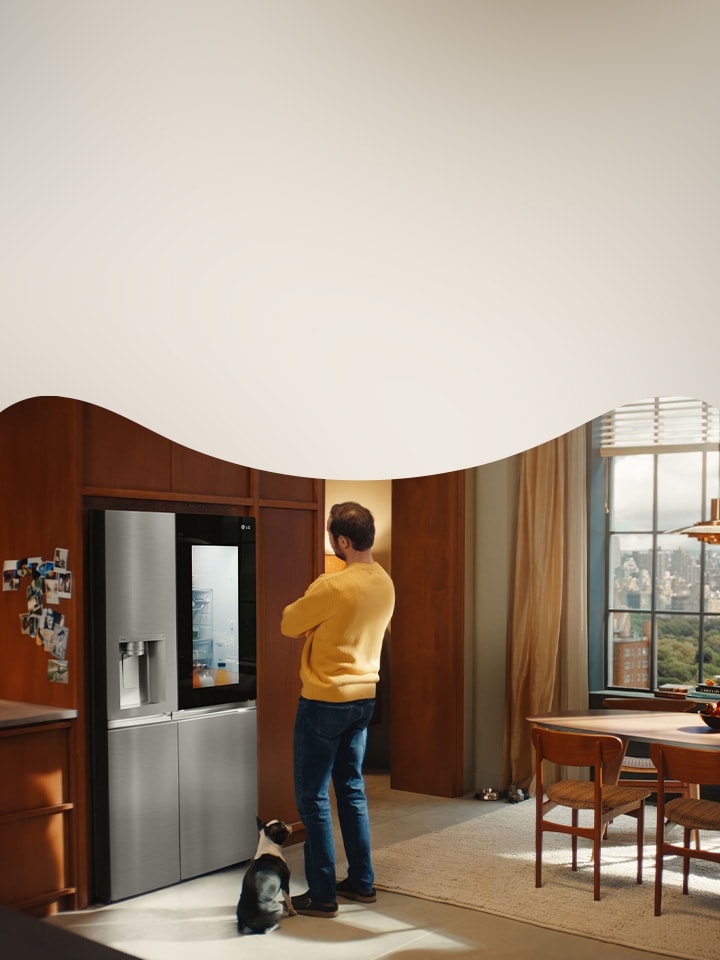 Instaview Fridges