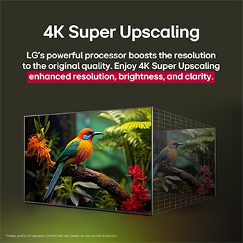 Compara??o antes e depois de como o LG 4K Super Upscaling melhora a qualidade da imagem. Dois painéis mostrando a mesma imagem de um pássaro colorido pousado em um galho em uma floresta; o painel da direita está desbotado. O título fala sobre como o 4K Super Upscaling melhora a resolu??o, o brilho e a nitidez. 