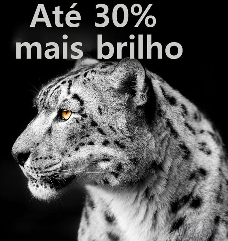 Um leopardo branco do lado esquerdo da imagem com "Até 30% mais brilho" mostra a funcionalidade Brightness Booster da LG em a??o.