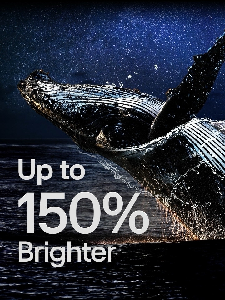 Uma baleia saltando para fora do oceano abaixo das palavras "até 150% mais brilhante" mostra a funcionalidade Brightness Booster Max da LG em a??o.
