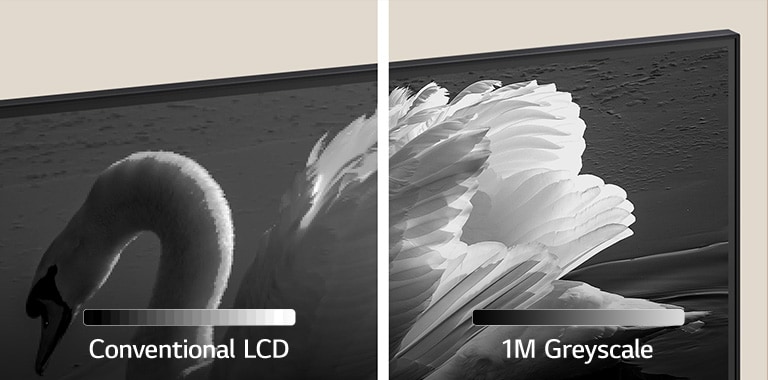 Uma imagem em tela dividida de um cisne. à esquerda, as palavras "Conventional LCD" (LCD convencional) e uma barra de cores que vai do preto ao branco com incrementos acentuados é exibida na frente do cisne, que parece pixelado e escuro. à direita, as palavras "1M Greyscale" (Escala de cinza 1M) e uma barra de cores com grada??o suave do preto ao branco é exibida na frente do cisne, que é nítido e tem bom contraste.