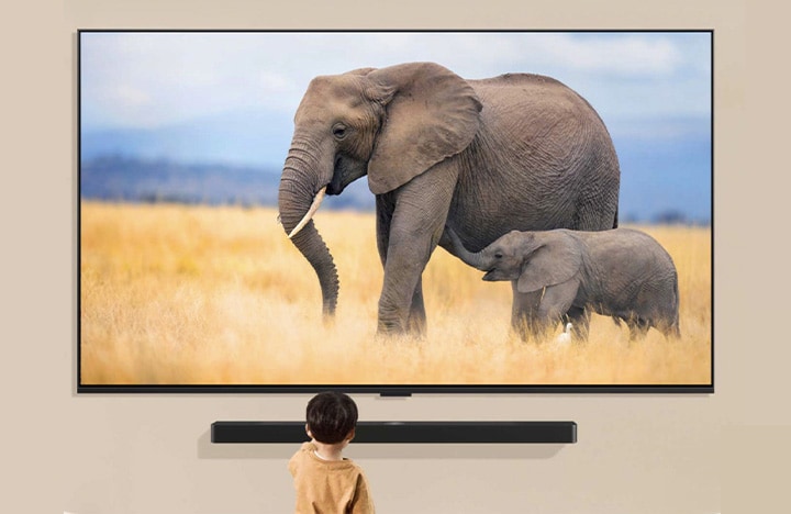 Uma crian?a está em pé na frente de uma grande TV que exibe uma imagem de dois elefantes, um adulto e um filhote, caminhando em um campo gramado.