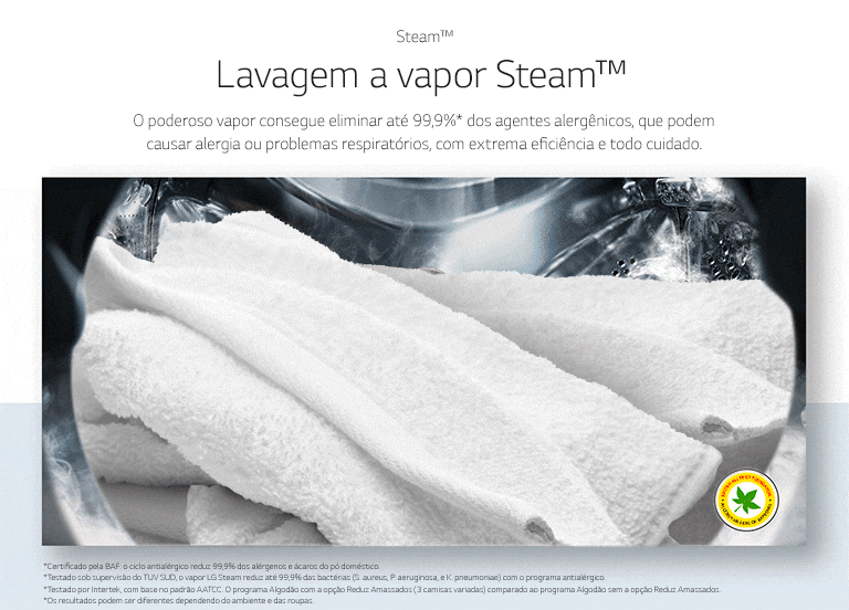 Lavagem a vapor Steam?