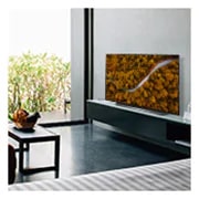 LG 48" CX LG OLED TV with ThinQ? AI, OLED48CXPUB