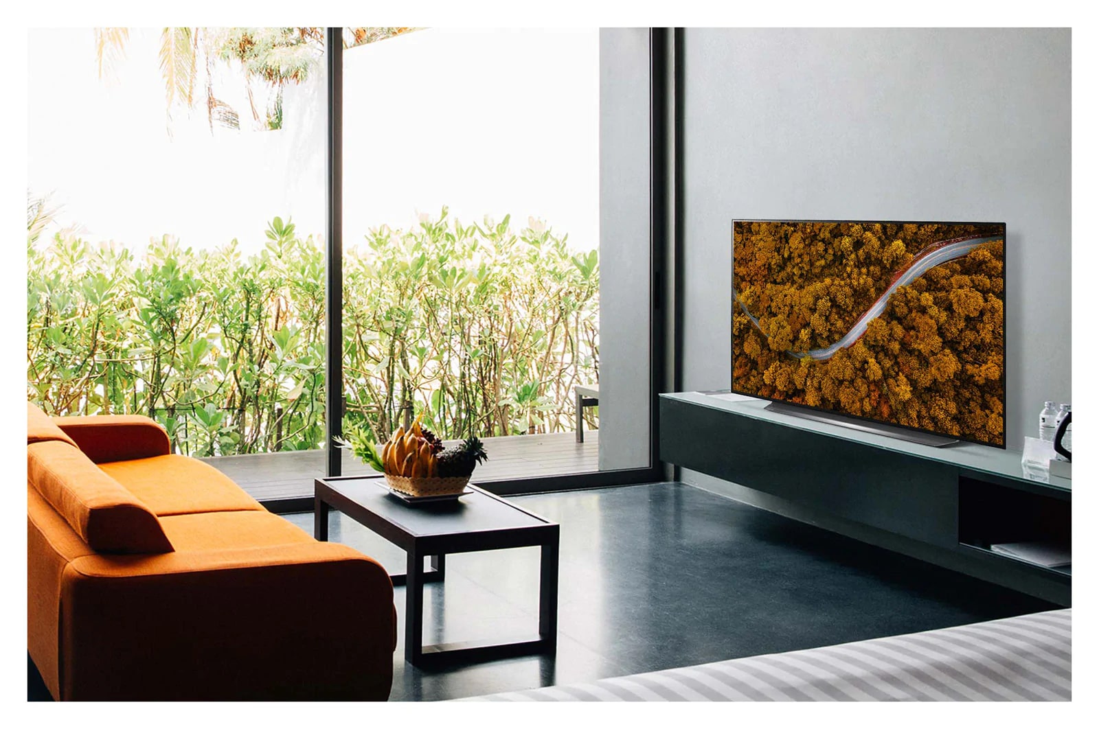 LG 48" CX LG OLED TV with ThinQ? AI, OLED48CXPUB