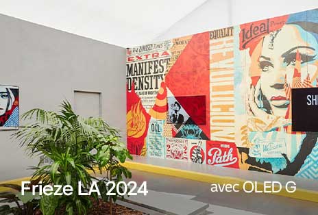 OLED G monté au milieu de la peinture murale de Shepard?Fairey.