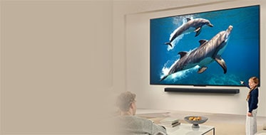 Téléviseurs LG grand écran à partir de 699?$