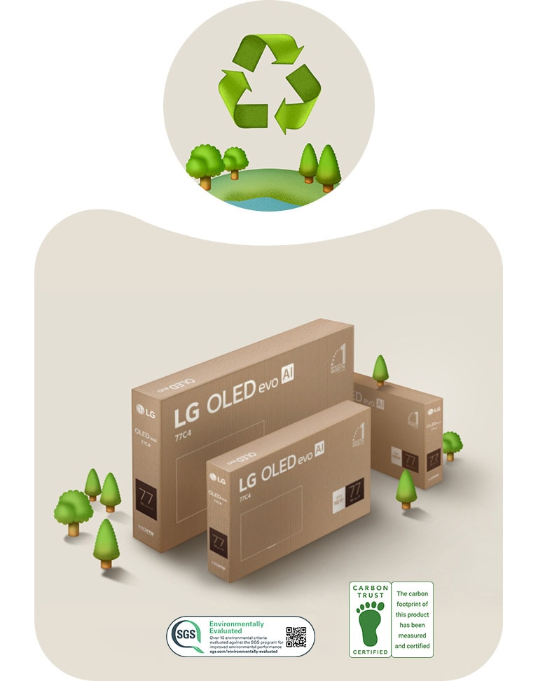 LG OLED-Verpackung vor einem beigen Hintergrund mit illustrierten B?umen.