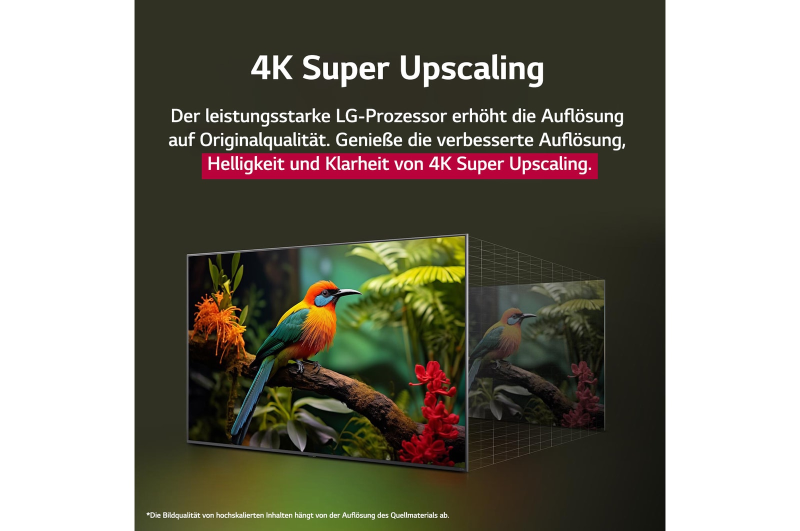 Papagei auf einem Baumzweig in lebendiger Farbe. Der Titel beschreibt, wie LG Al Picture Pro die Aufl?sung, Helligkeit, Tiefe und Klarheit der Szene auf beeindruckende Weise verbessert hat.