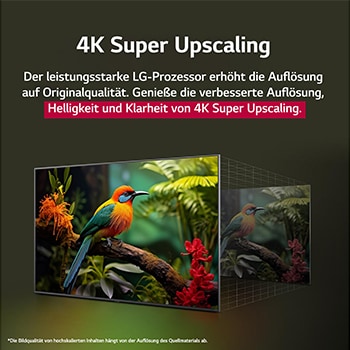 Papagei auf einem Baumzweig in lebendiger Farbe. Der Titel beschreibt, wie LG Al Picture Pro die Aufl?sung, Helligkeit, Tiefe und Klarheit der Szene auf beeindruckende Weise verbessert hat.