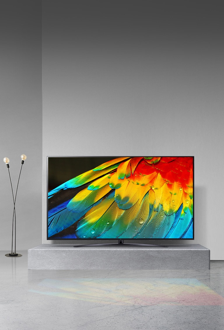 Les détails en gros plan de l’aile colorée d’un perroquet sont améliorés grace au processeur IA α5 de cinquième génération 4K.