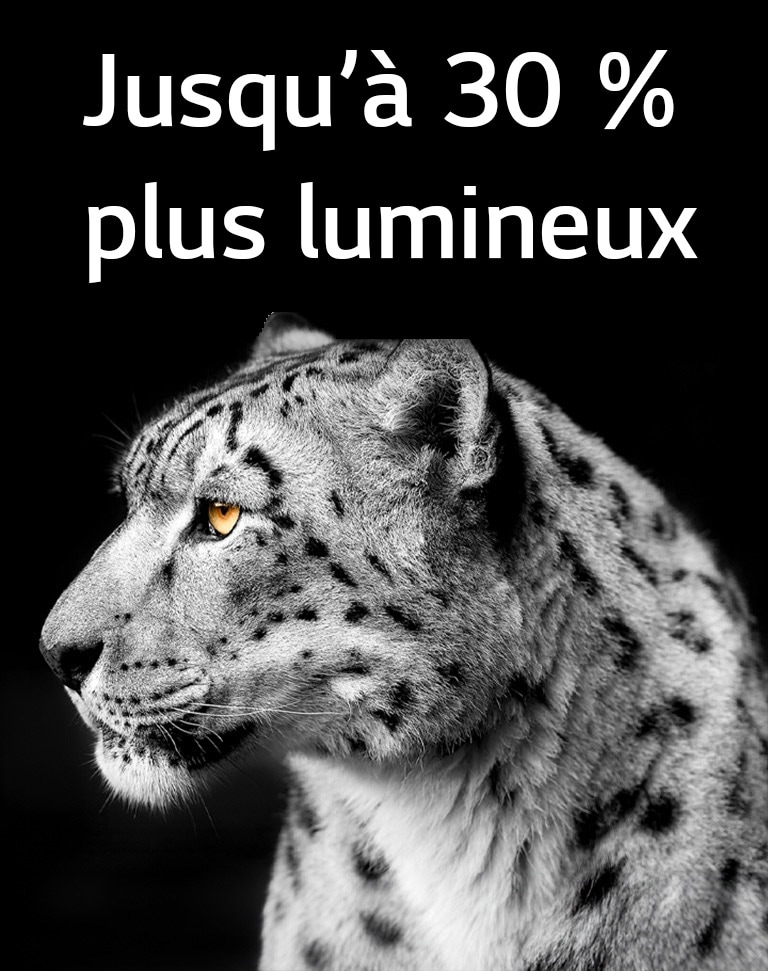Un léopard blanc de profil sur le c?té gauche de l’image. La phrase ??Jusqu’à 30?% plus lumineux?? appara?t à gauche.