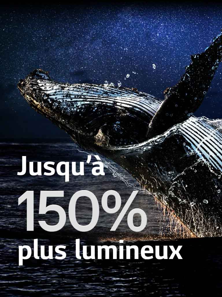 Une baleine sautant hors de l’océan sur fond noir. La phrase ??jusqu’à 150?% plus lumineux?? appara?t au-dessus de la baleine et deviennent plus brillants.