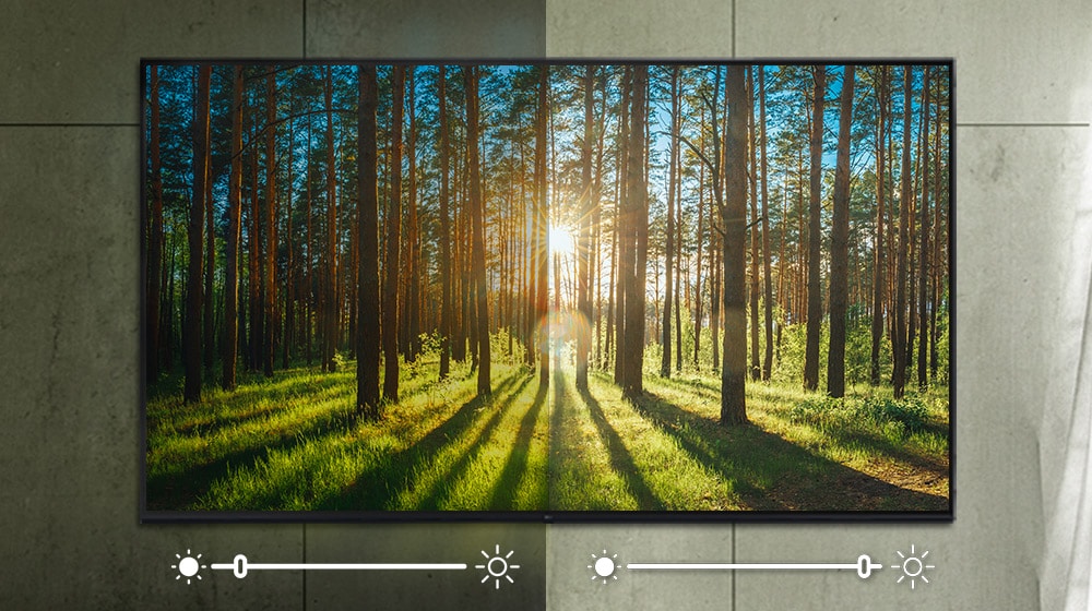 écran représentant une image de forêt, dont la luminosité est ajustée en fonction de l’environnement.