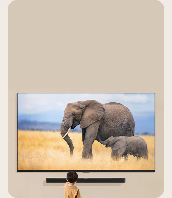 Un televisor LG montado en la pared del salón con unas LG Soundbar montada justo debajo. El televisor muestra dos elefantes y un ni?o peque?o está de pie frente al televisor.