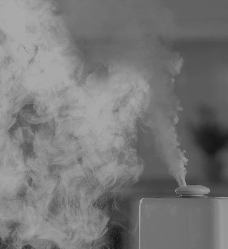 ?Qué Tipo de Humidificador Me Ayudaría a Combatir un Hogar Seco?