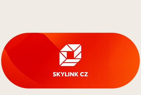 Logo Skylink