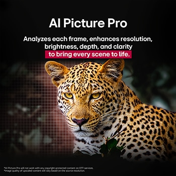 Leopard v lese v ?ivych barvách a detailech. Leopard má m?í?ku a světlo, které za ním svítí, co? nazna?uje, jak aplikace LG AI Picture Pro p?sobivě vizuálně vylep?ila rozli?ení, jas, hloubku a ?istotu scény.