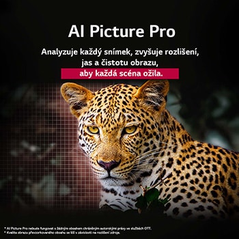 Leopard v lese v ?ivych barvách a detailech. Leopard má m?í?ku a světlo, které za ním svítí, co? nazna?uje, jak aplikace LG AI Picture Pro p?sobivě vizuálně vylep?ila rozli?ení, jas, hloubku a ?istotu scény.