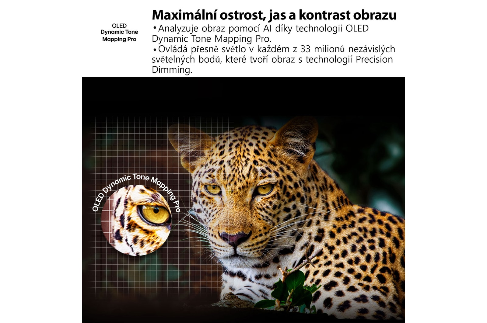 No?ní táborovy oheň uprost?ed p?írody. V dálce je vidět les a jezero. Ve?erní obloha je plná hvězd. Celá scéna je rozdělena na dvě poloviny. Jedna strana je tmav?í a matněj?í. Druhá polovina je pozoruhodně jasněj?í, co? dokazuje p?sobivy jas funkce Brightness Booster. 