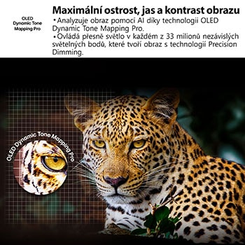No?ní táborovy oheň uprost?ed p?írody. V dálce je vidět les a jezero. Ve?erní obloha je plná hvězd. Celá scéna je rozdělena na dvě poloviny. Jedna strana je tmav?í a matněj?í. Druhá polovina je pozoruhodně jasněj?í, co? dokazuje p?sobivy jas funkce Brightness Booster. 