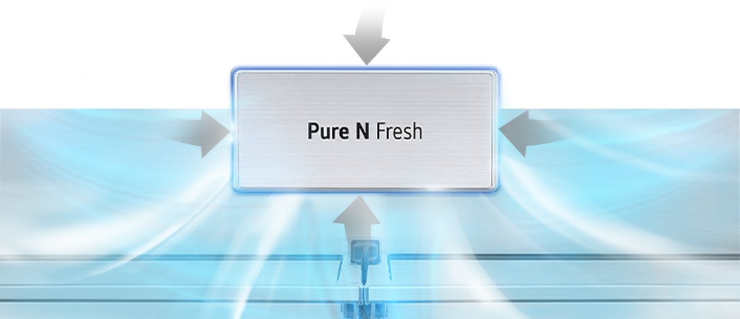 Filtrace Pure N Fresh nasává pachy a rozptyluje ?isty chladny vzduch pro svě?í prost?edí v chladni?ce.