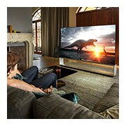 LG 88" LG OLED TV, webOS Smart TV, OLED88ZX