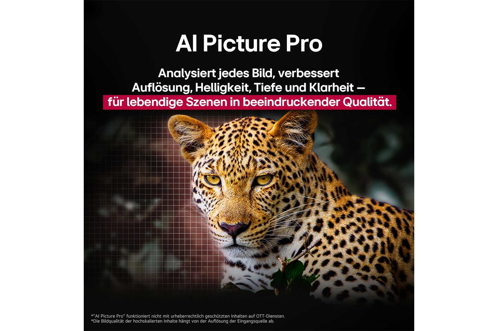 Leopard im Wald in leuchtenden Farben und Details. Neben dem Leopard ist ein Gitternetz zu sehen. Hinter ihm leuchtet ein Licht. Das Bild zeigt, wie LG AI Picture Pro die Aufl?sung, Helligkeit, Tiefe und Klarheit der Szene eindrucksvoll verbessert hat.
