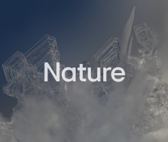 Titelbildschirm_Natur