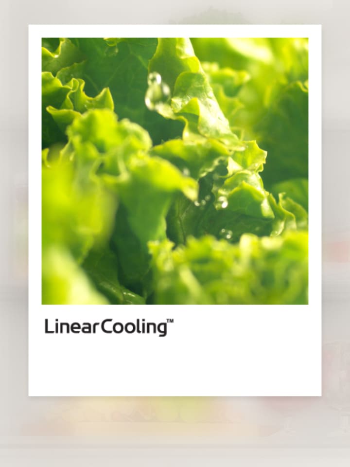 LINEARCooling? Temperaturkurve mit frischem Gemüse in der N?he.